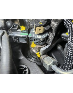 aaaa